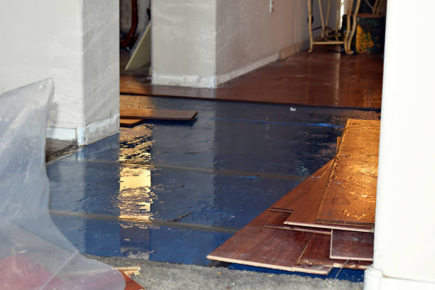 Professional Basement Flood Cleanup technician working in Harrogate, TN